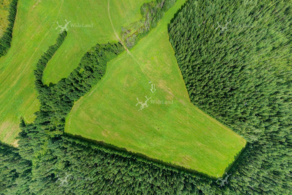 Polianka (Зеленая поляна)